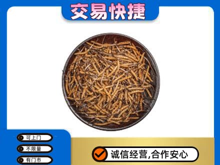 重庆巴南区高价回收散虫草